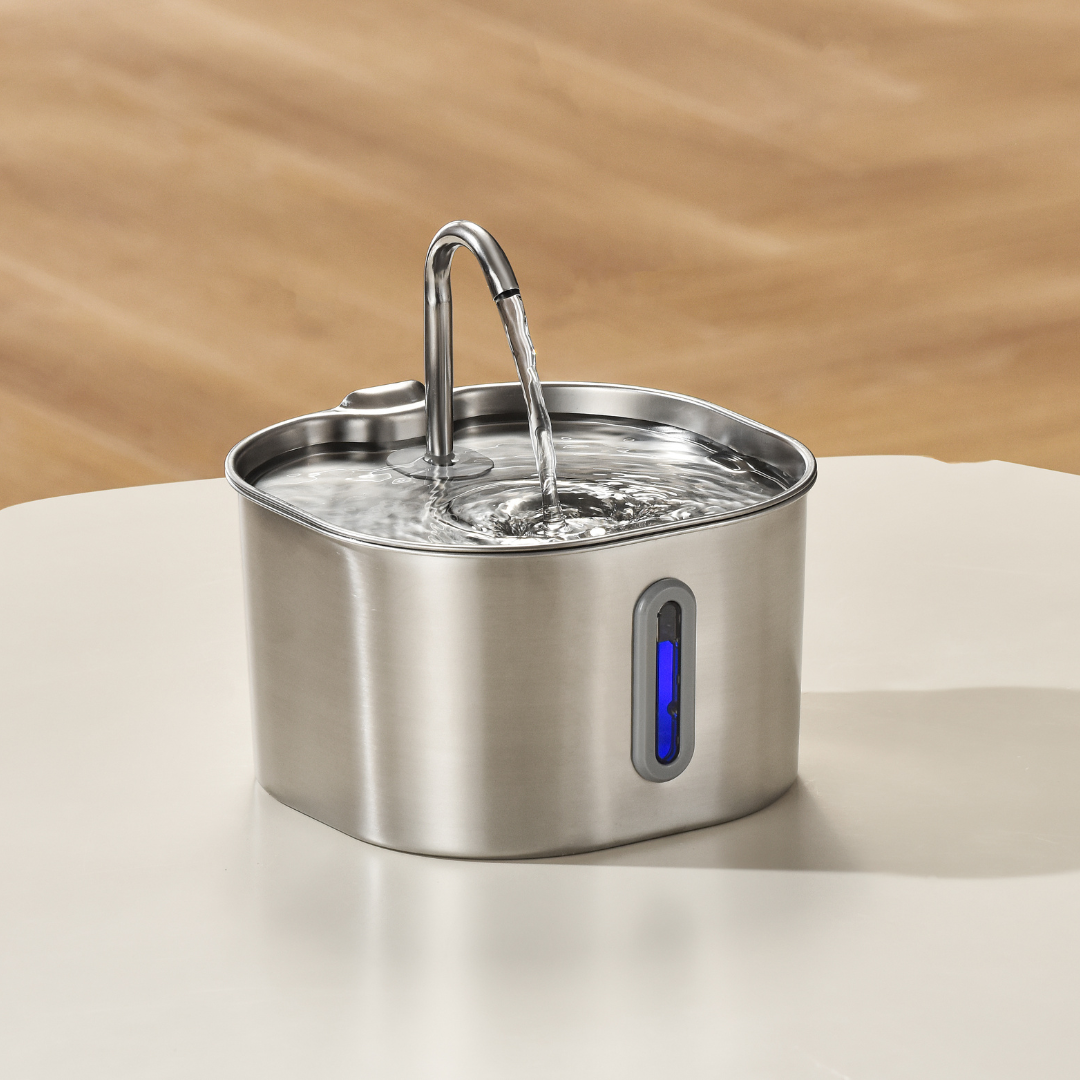 KittyQuelle - STARTERPAKET