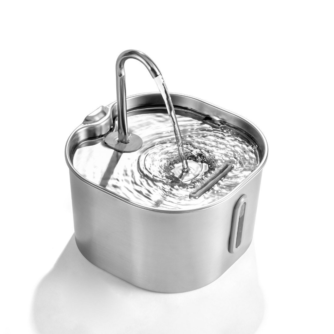 KittyQuelle - STARTERPAKET