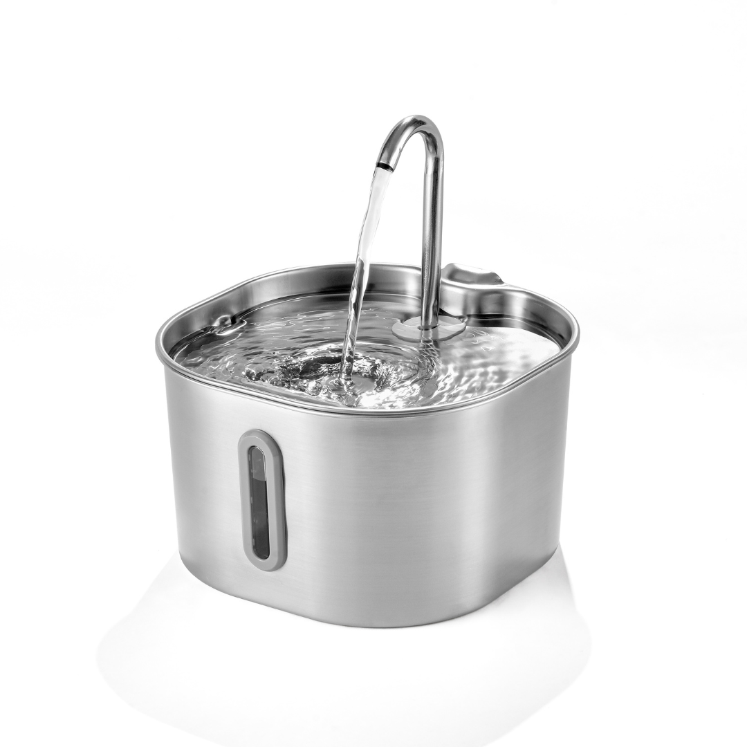 KittyQuelle - STARTERPAKET