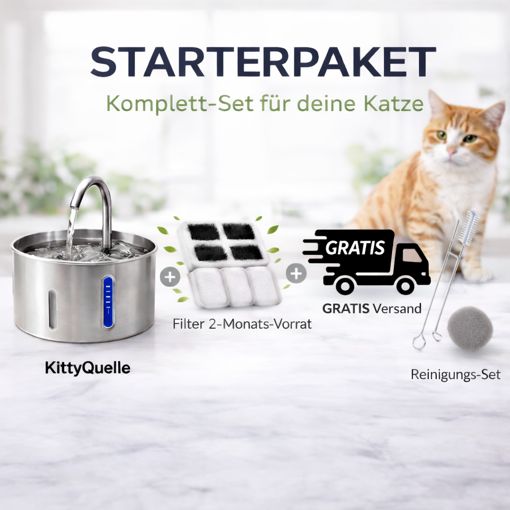 KittyQuelle - STARTERPAKET