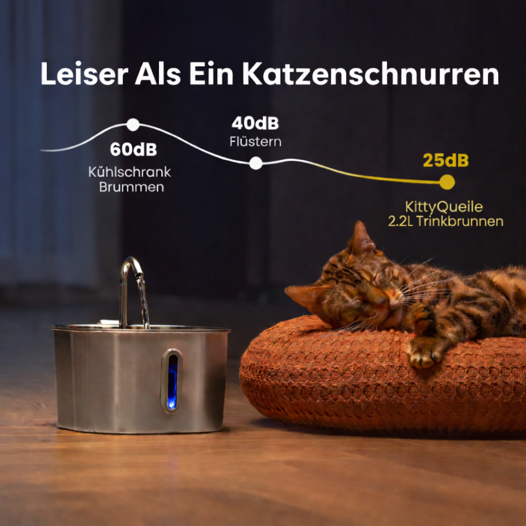 KittyQuelle - STARTERPAKET