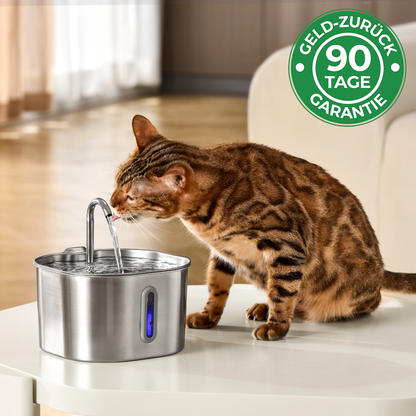 KittyQuelle - STARTERPAKET