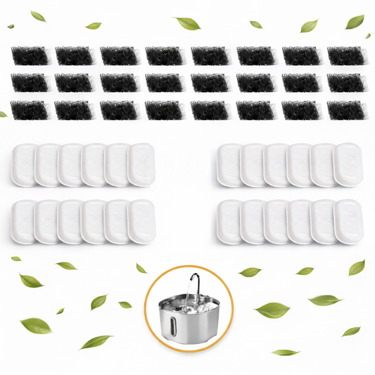 KittyQuelle 24x Filter (12-Monats-Vorrat)