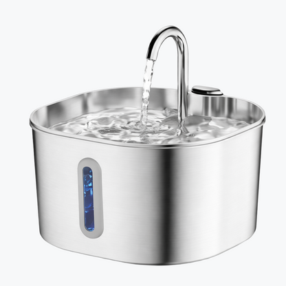 KittyQuelle 12x Filter (6-Monats-Vorrat)